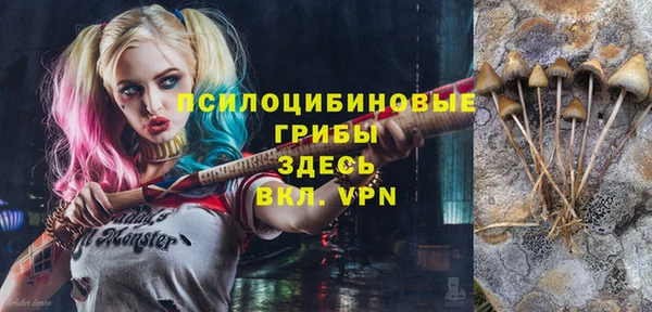 гидра Армянск
