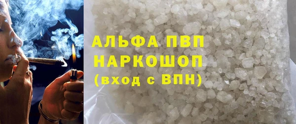 сатива Беломорск
