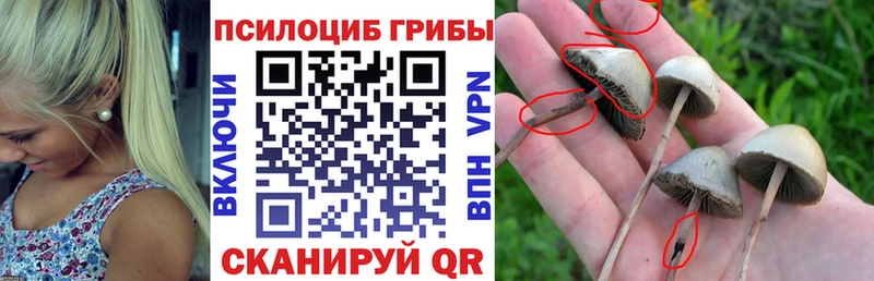 Псилоцибиновые грибы MAGIC MUSHROOMS  ОМГ ОМГ как зайти  Волхов 