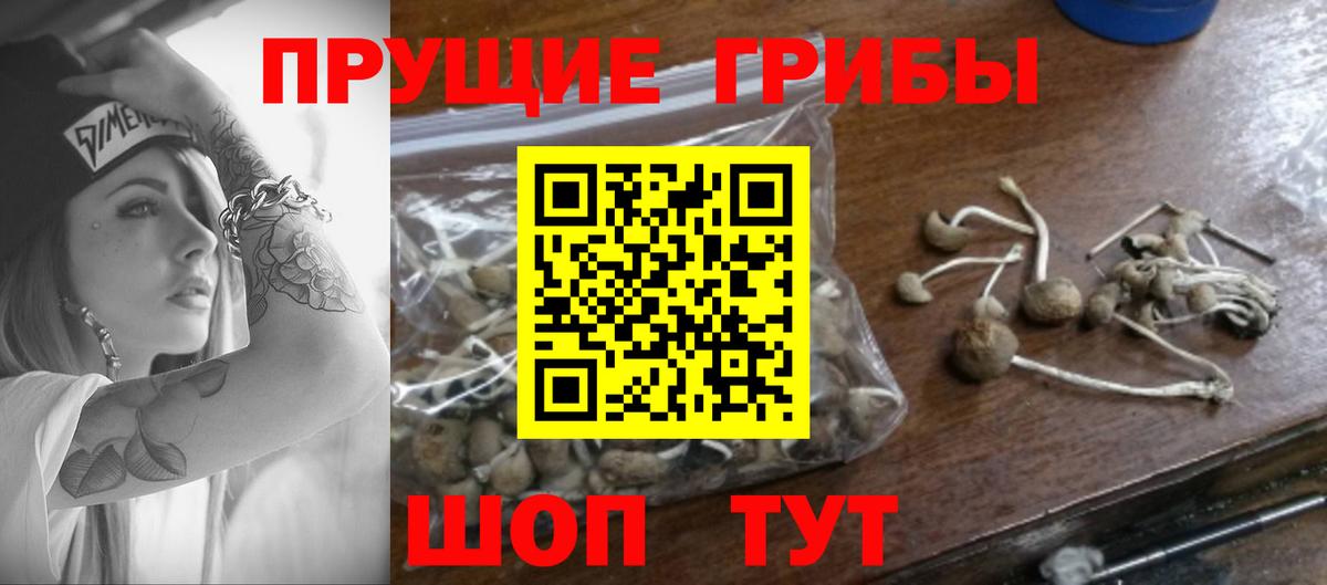 Галлюциногенные грибы Magic Shrooms  Галлюциногенные грибы прущие грибы  Вход с VPN  Волхов 